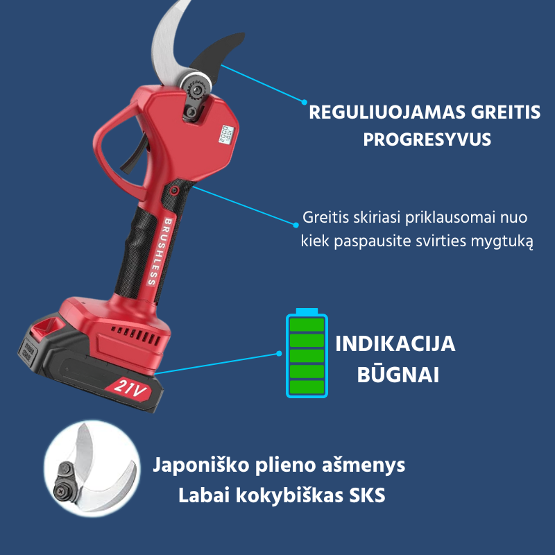 _Velocità LT ALE (1)