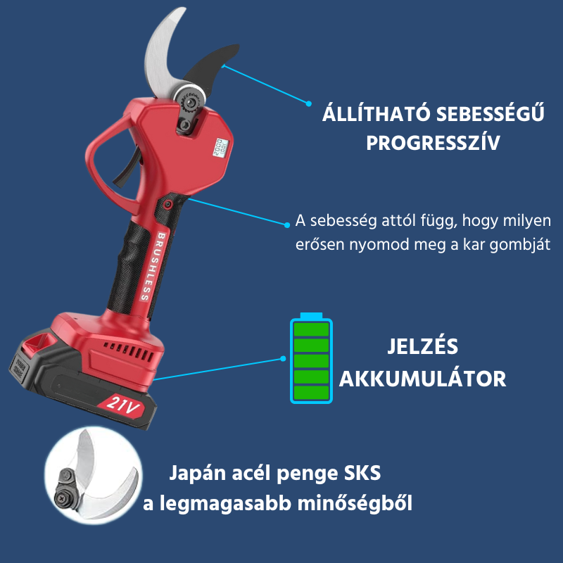 _Velocità LT ALE